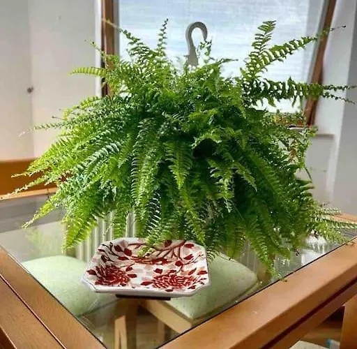 Apartamento Con Vistas アパート サダ